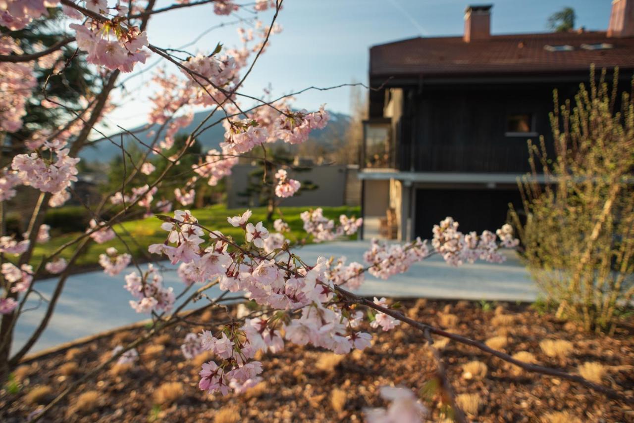 Maison Gokan Bed & Breakfast Sévrier Dış mekan fotoğraf